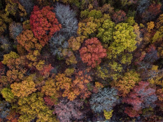 Bruges kun til card på forside